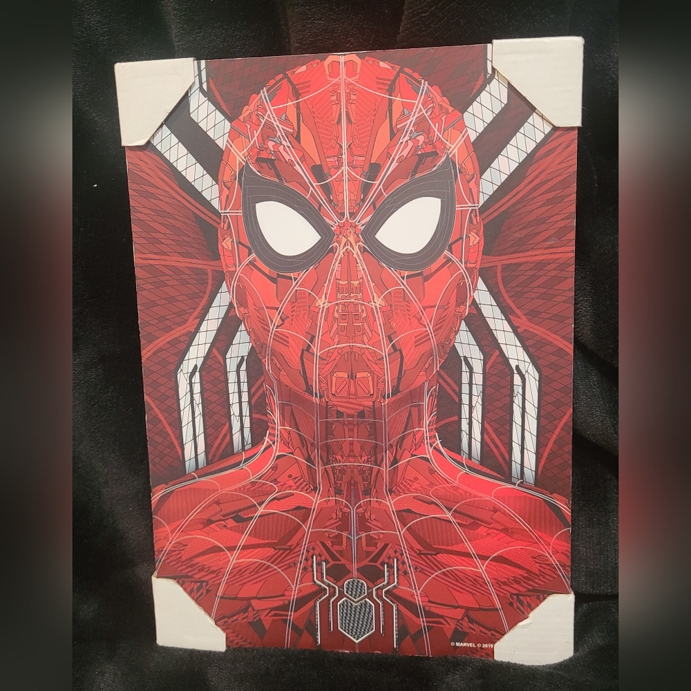 Marvel Spiderman wall picture, NWT